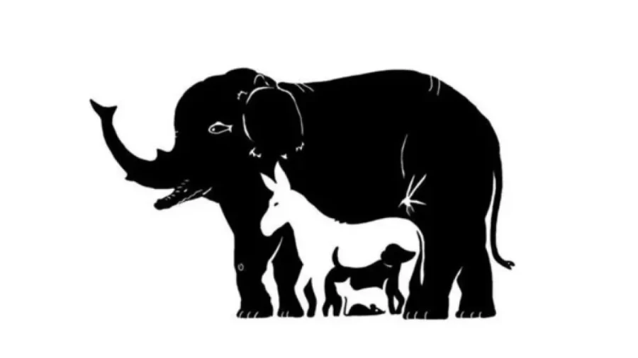 Настоящий зоопарк: найдите всех животных на картинке — эта головоломка так проста, что с ней справится даже первоклассник