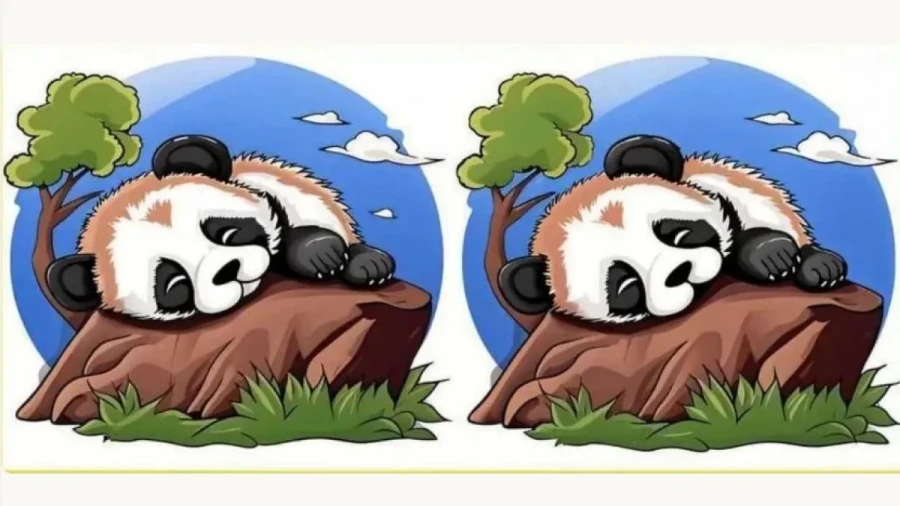 Панда-парадокс: найдите 3 отличия за 21 секунду — тест на гениальность и внимательность для настоящих сыщиков!