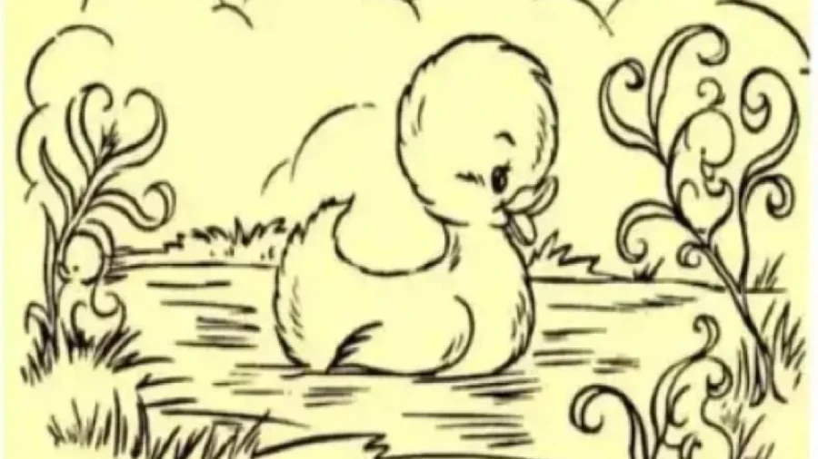 Мама-утра и ее выводок: задачка на внимательность, которую с первого раза решает лишь 4% населения — найдите на картинке 3 утят