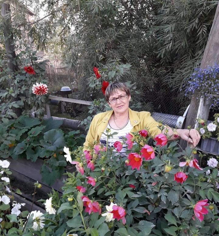 Фотофакт: Якутянка украшает свой палисадник уже многие годы