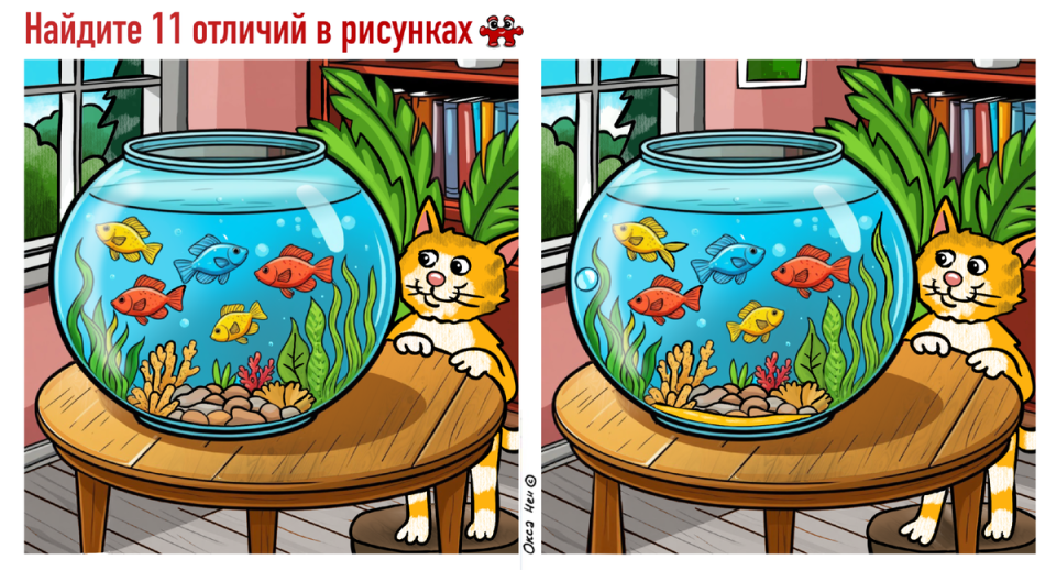 Мозг как у гения: всего 1 простой трюк защитит вас от старческого слабоумия — чудо-средство для ясности ума