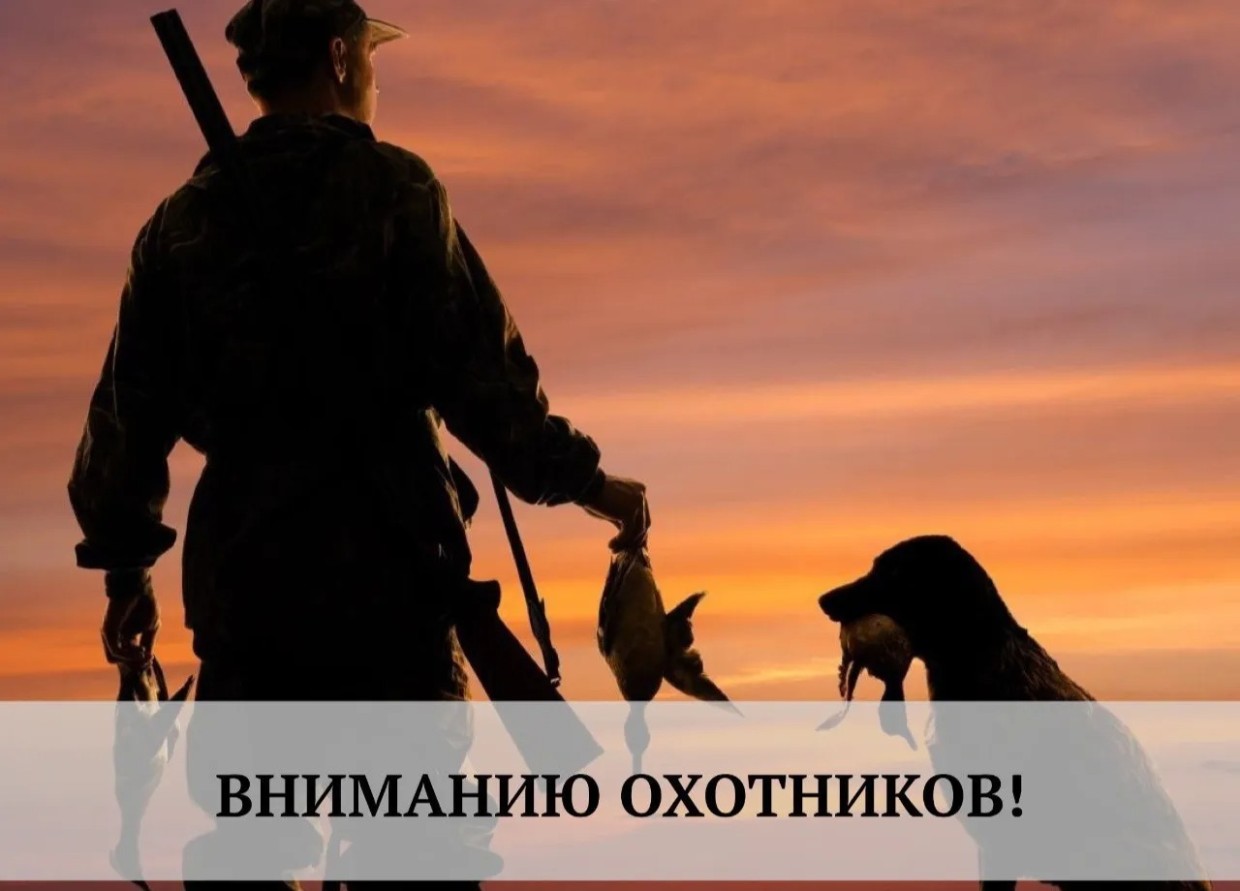 Стали известны ключевые корректировки сроков охоты