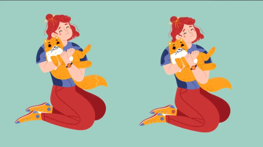 Только для зорких: обнимите котика и найдите 5 отличий — у вас есть 30 секунд, чтобы отыскать все несовершенства на 2 картинках