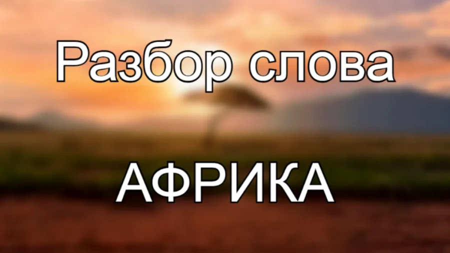 Где А, там и Б: найдите 8 слов в 6 буквах — у вас есть 1 минута на решение этой анаграммы