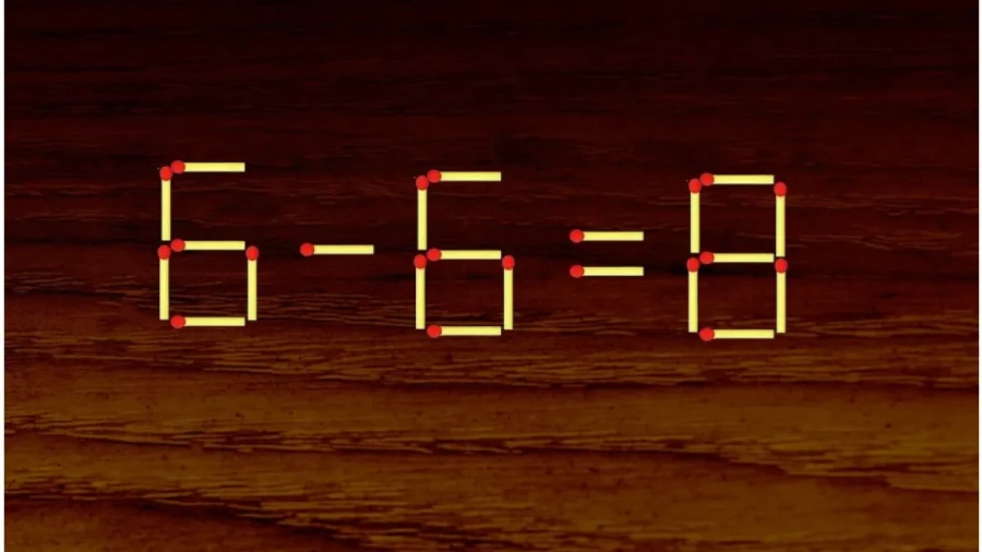 Такому в школе не научат: образование скрывает от наших детей 1 чудо-средство для мозга — с ним вы точно вырастите гения