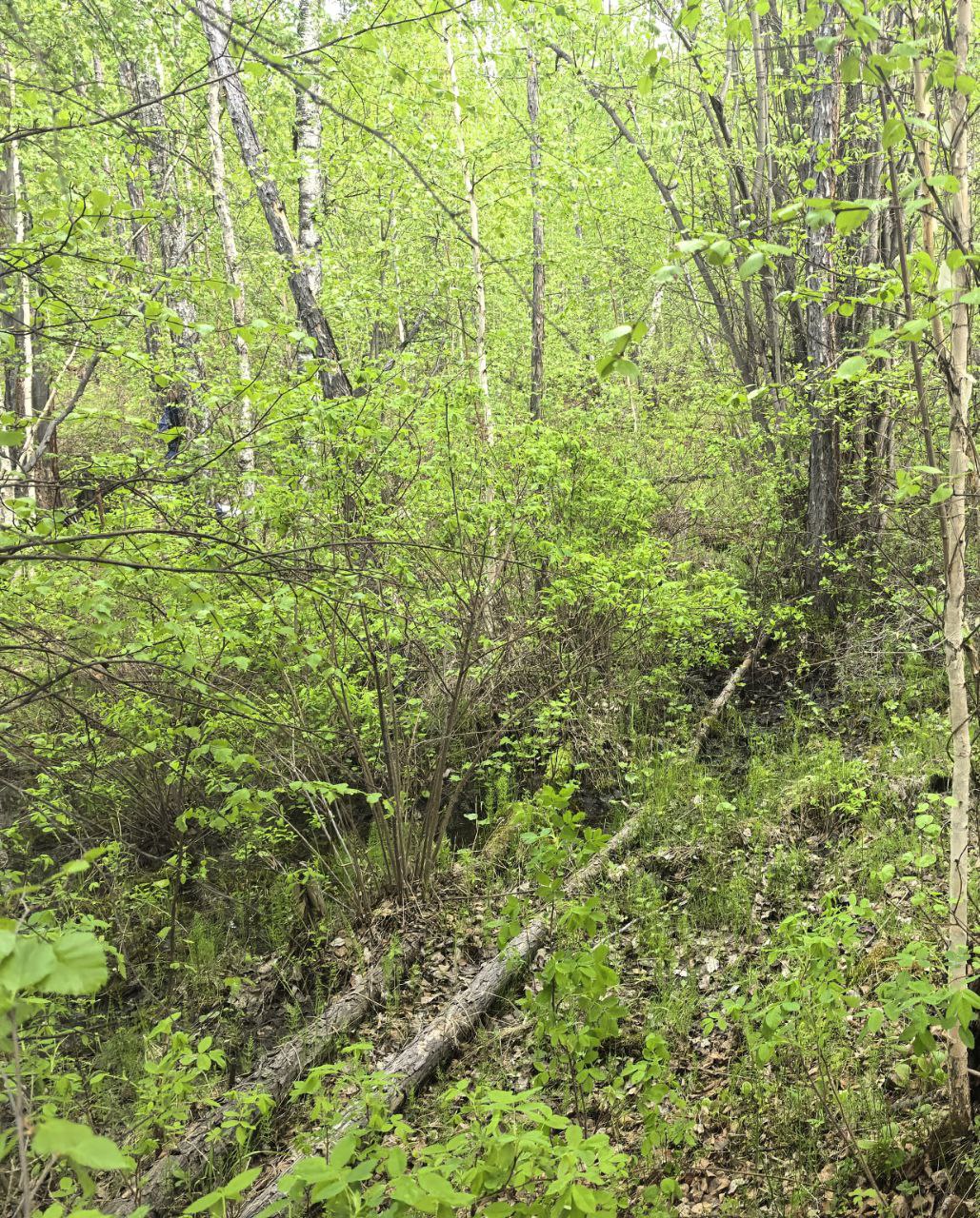 Во Владимировке заблудился мужчина, с ним двое детей