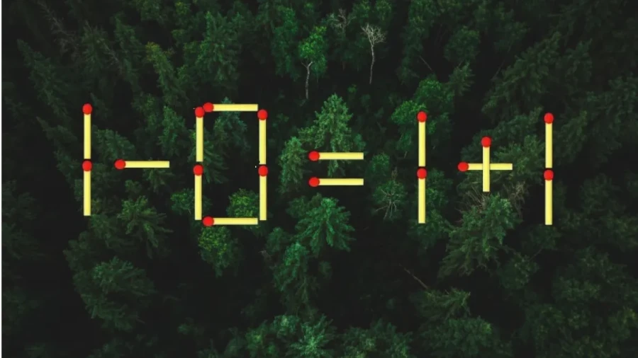 Все ради мозга: продуктивность вырастет на 20% — это чудо-средство поможет всего за неделю