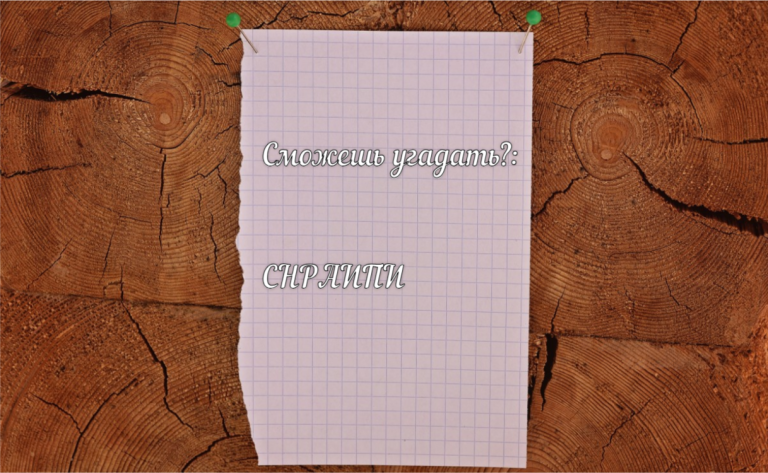 Интеллектуальная битва: разгадайте анаграмму за 6 секунд — пока решаете, точно перестанет мучить мигрень