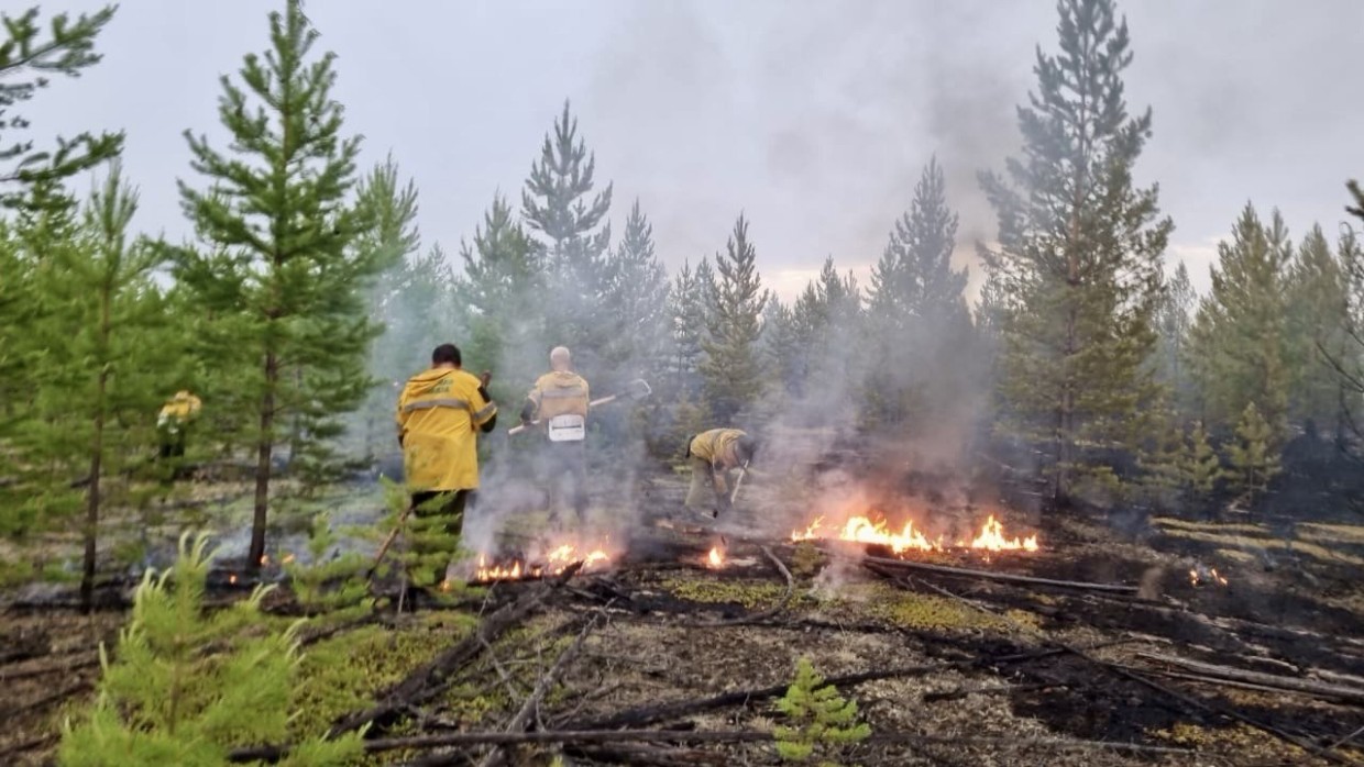 Глава МЧС РФ потребовал от главы Якутии ликвидировать лесные пожары до конца недели