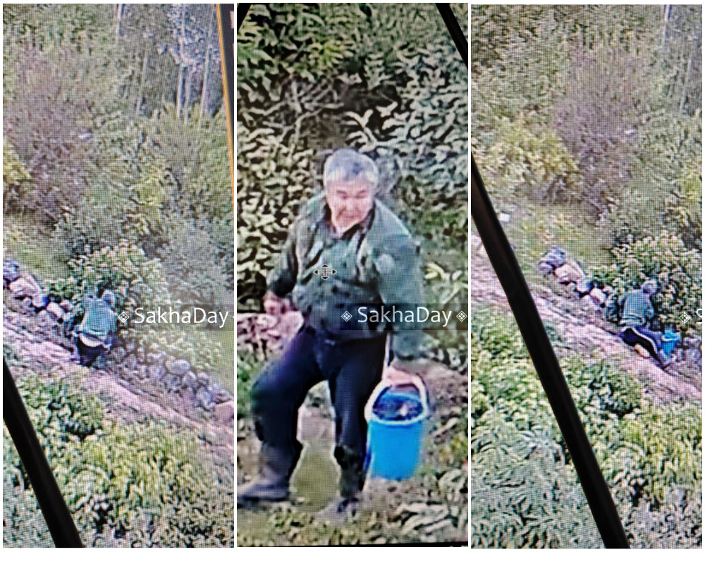 В Ботаническом саду Якутска дачник поживился ягодами элитной смородины