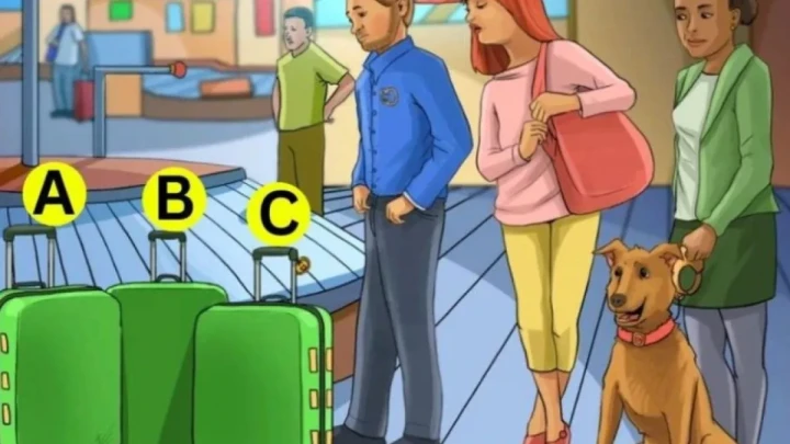 Настоящий IQ-челлендж: под силу только гениям — определите владельцев чемоданов в этой хитрой головоломке