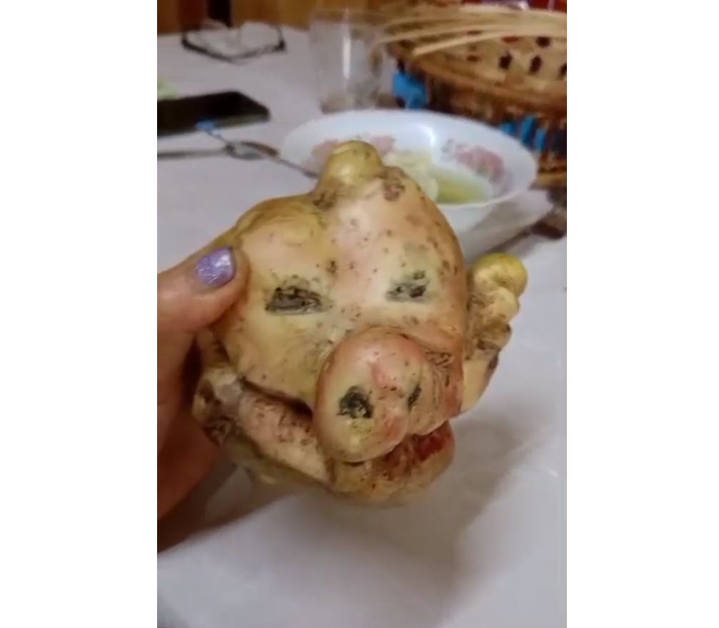 Видеофакт: В Олекминском районе вырос картофельный "черт"