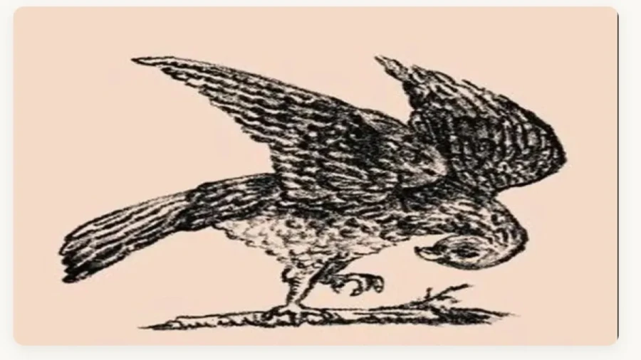 Удивительная головоломка-иллюзия: ностальгическая задачка из СССР — придется напрячь и глаза, и извилины