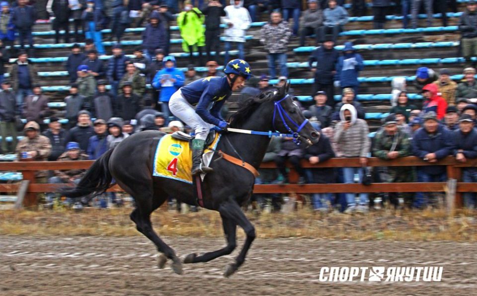 От удара молнии погиб легендарный жеребец Мэйн Кониг