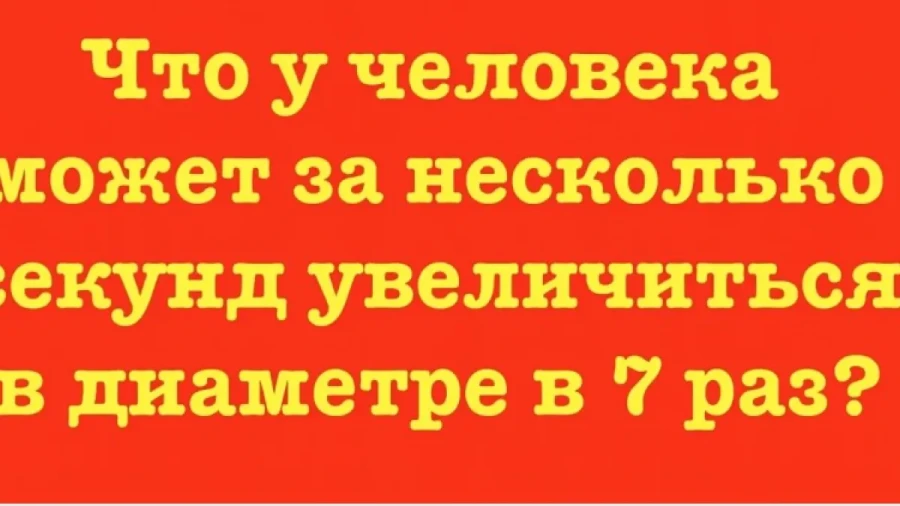 Звенящая пошлость: двоякая загадка взбодрит ваш разум — правильный ответ найдут только самые не испорченные личности