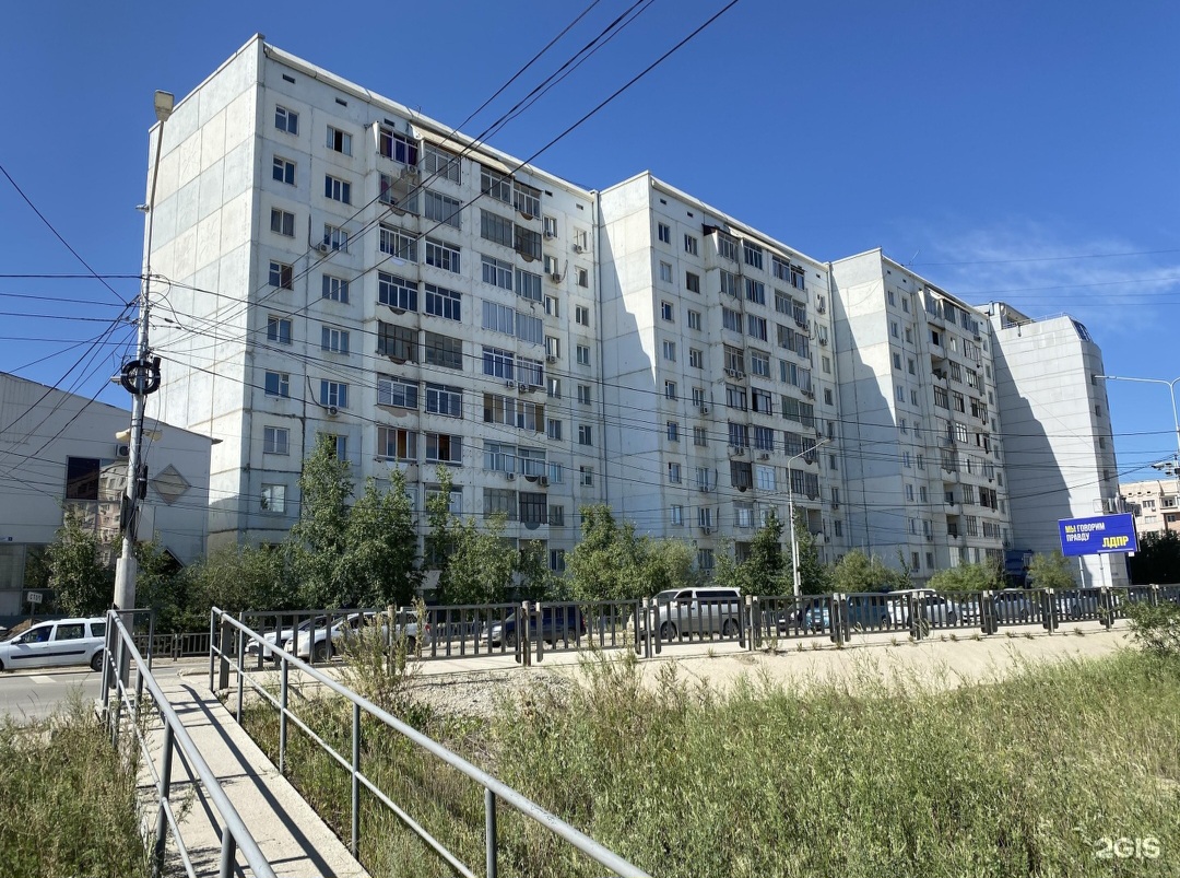 Фатальная ошибка: на Хабарова не должны были рубить березы