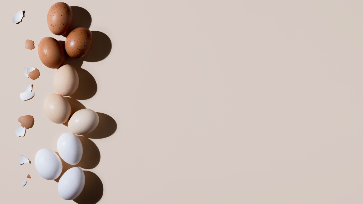 Цвет не имеет значения: белые или коричневые яйца — стоит ли переплачивать за миф о «натуральности»?