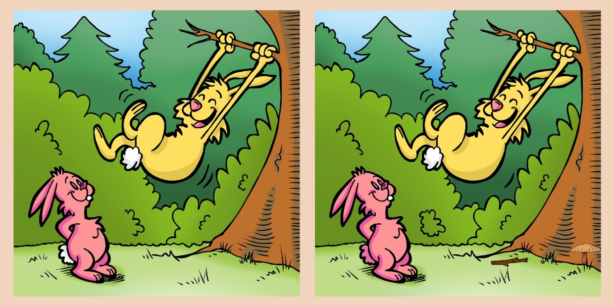 Вышел заяц на крыльцо: лес, два зайки, семь отличий — найдите их все и докажите, что ваш мозг соображает быстрее пули