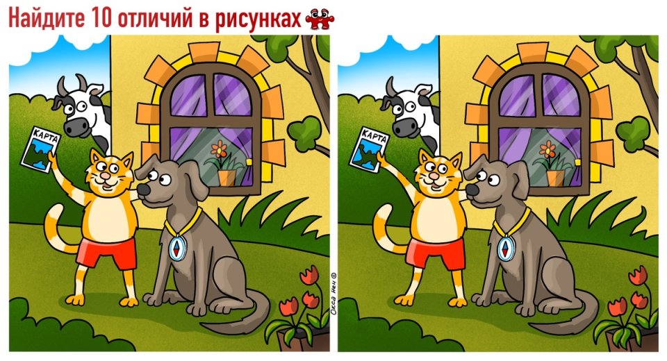 Никаких БАДов: оставьте в прошлом глицин — вот 1 по-настоящему рабочее средство, чтобы заставить мозг работать на полную