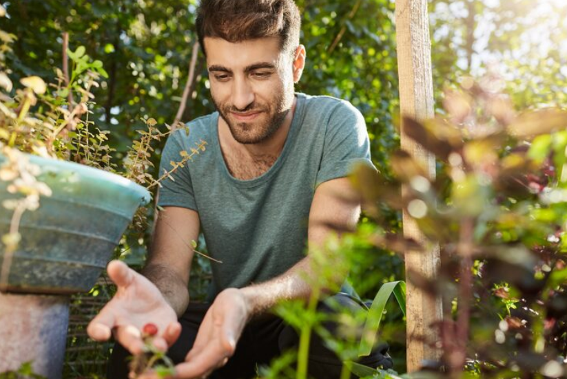 Медведки сбегут в ужасе, сверкая лапками: 2 проверенных народных средства спасут ваш огород — забудете об этой проблеме