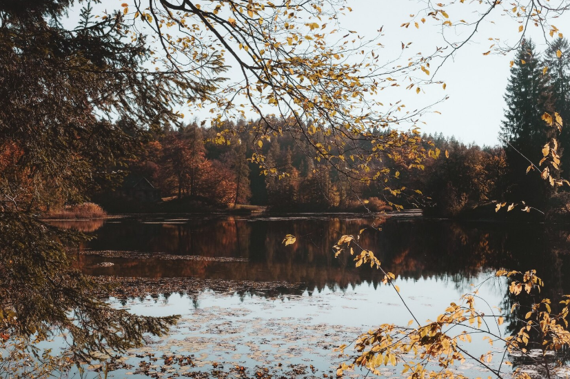 Весам — упорства, Козерогам — удивительного вдохновения, Водолеям — слушать интуицию: гороскоп для всех знаков Зодиака на 25 августа