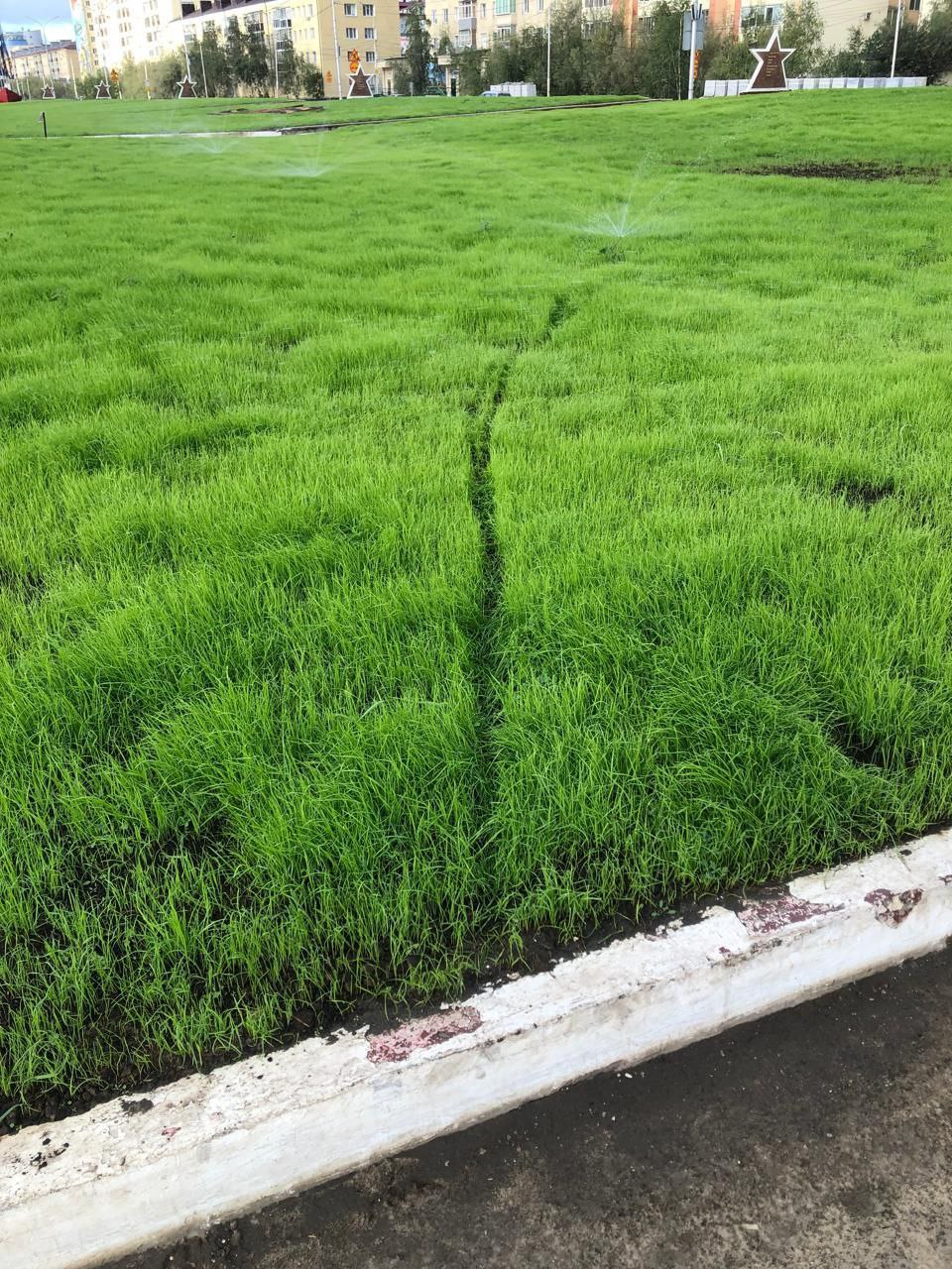 Мэр Якутска попросил не ходить по газону!