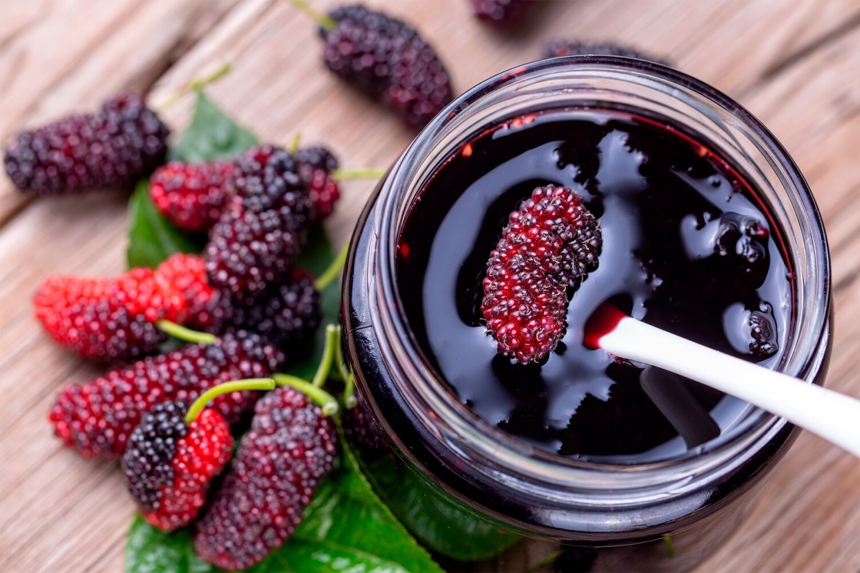 Шелковица или тутовник: как правильно называть дерево и его плоды — лингвистический баттл, который вы точно захотите дочитать до конца