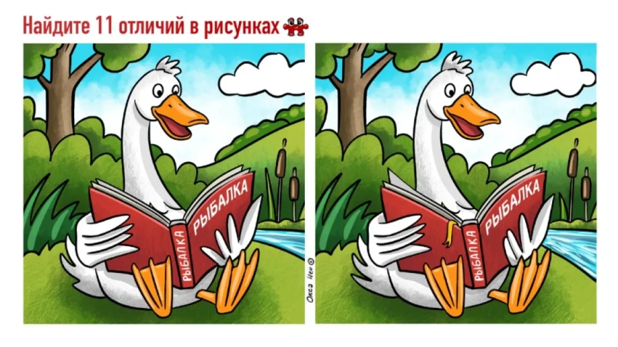 Ловись рыбка: этот гусь твердо намерен познать азы рыболовства — но его отвлекает сразу  11 помех, найдите их все
