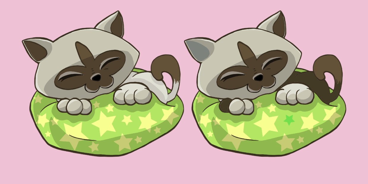 Помяукать да спать лечь: эти 2 котика близняшки только на первый взгляд — между ними есть 5 неожиданных отличий