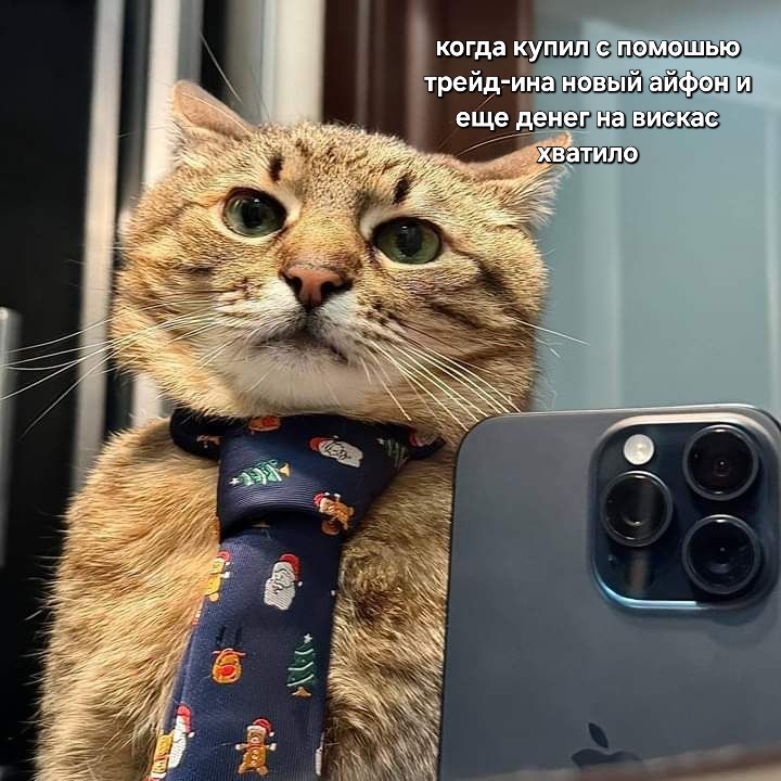 Якутяне стали чаще менять смартфоны по программе трейд-ин