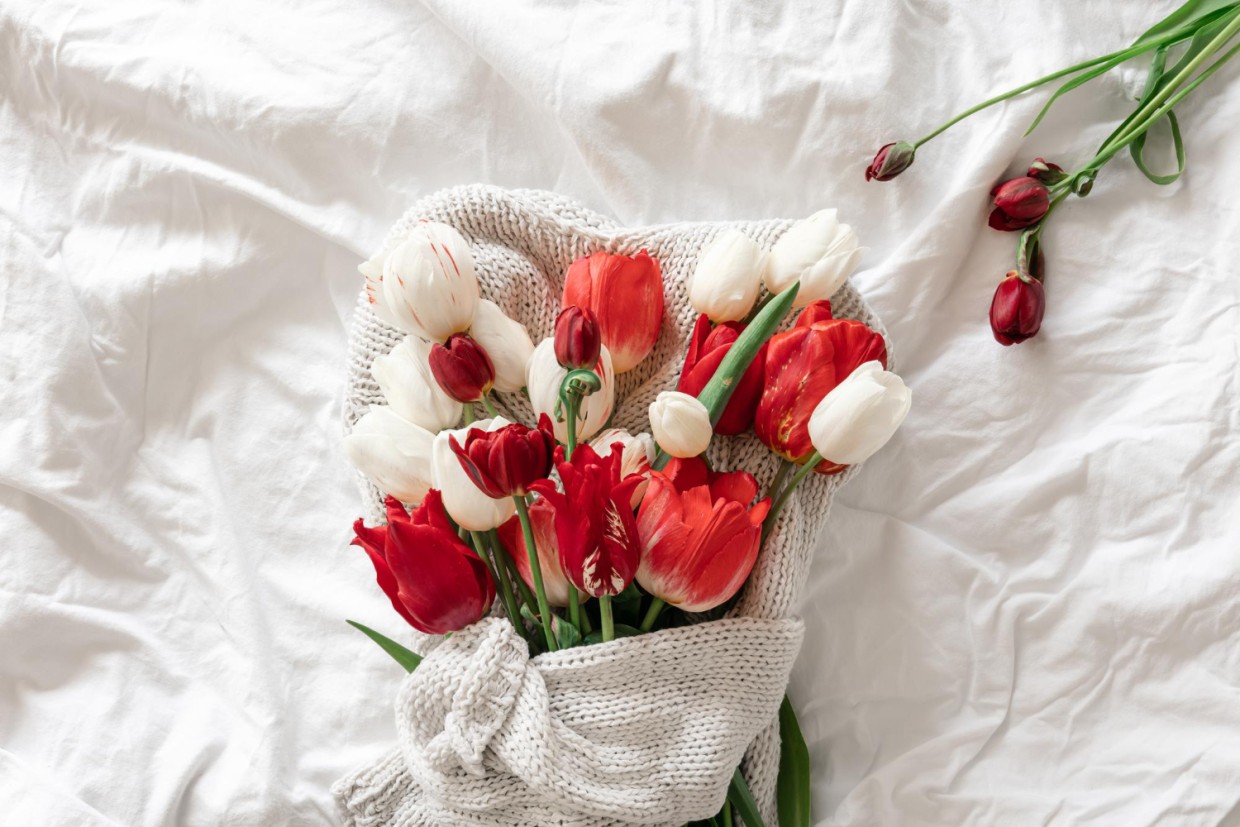 Тюльпановый эксперимент: как посадить луковицы без хлопот и ждать цветения уже весной — секреты опытного садовода