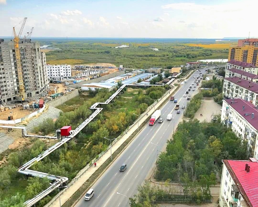 В мэрии Якутска посчитали, что березы мешают ремонту улицы Хабарова