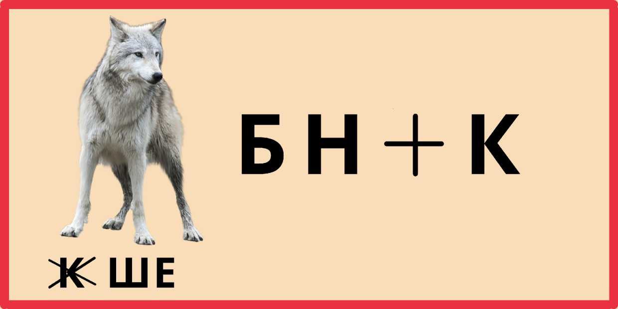 Волк слабее льва и тигра: а вы умнее — решите ребус с волком и докажите, что ваше место не в цирке