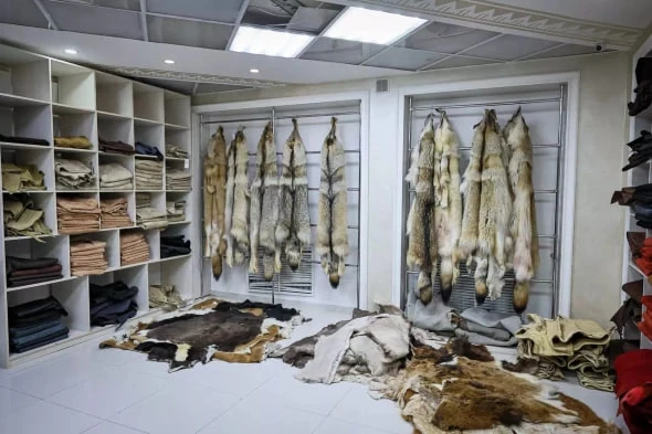 Якутский комбинат под управлением "Сахабулта" требуют признать банкротом