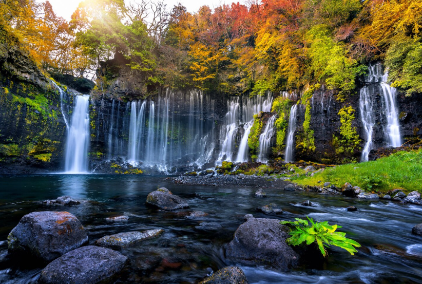 Гороскоп для всех знаков на 16 августа: Водолеям — небывалый успех, Девам — вдохновляющие знакомства, а Стрельцам — прилив сил и энергия