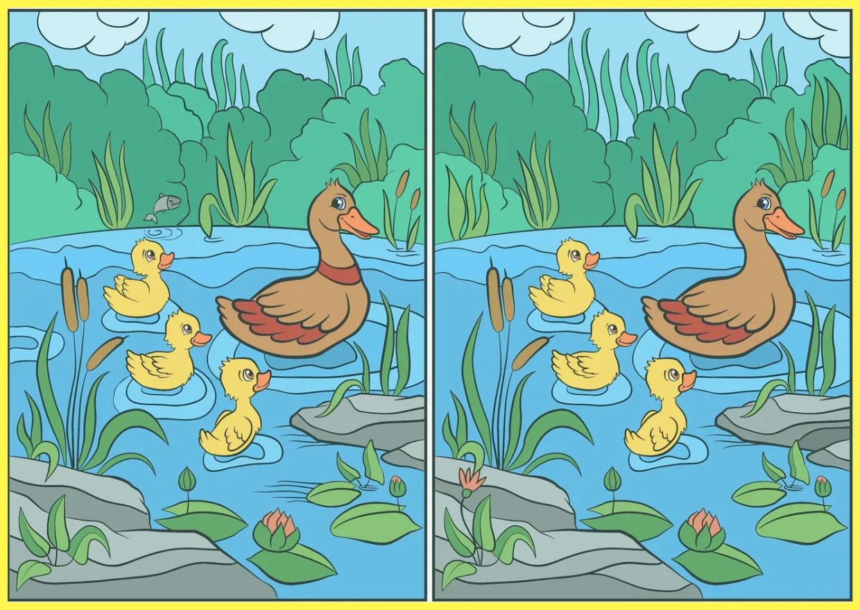 Человек — зоркий глаз: найдите 12 отличий на картинке с уткой — головоломка на развитие внимательности