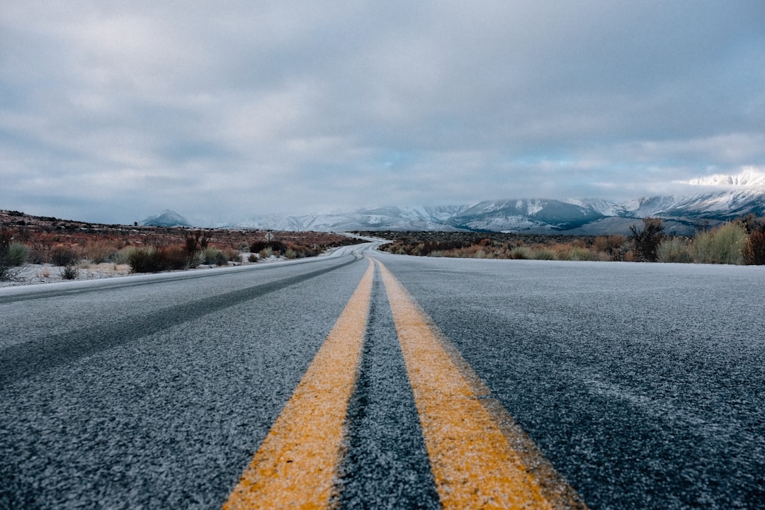 Чем желтая сплошная отличается от белой полосы — каждый водитель должен знать это