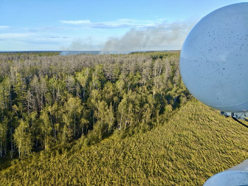 В Якутии действует 24 лесных пожара