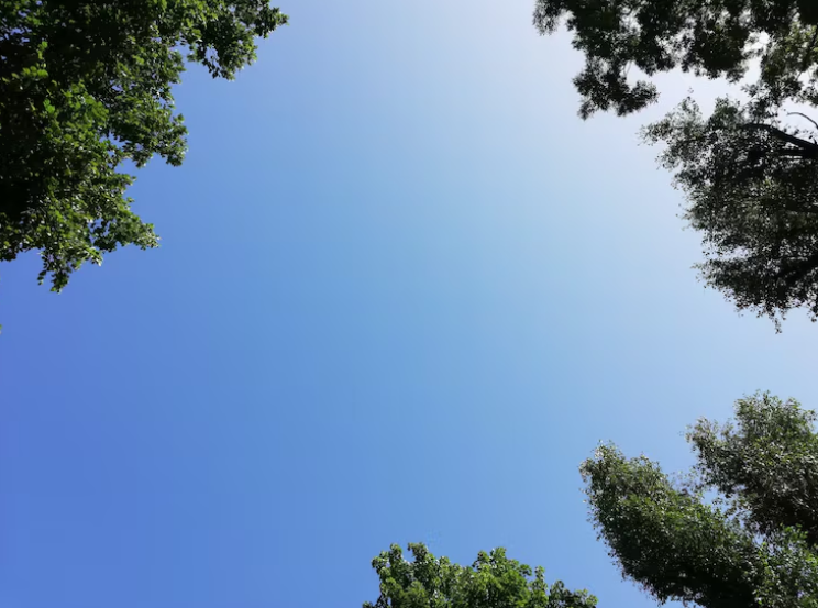 Львам — избегать высокой эмоциональности, Девам — прорывных качеств, Ракам — серьезной выдержки: гороскоп для всех знаков Зодиака на 23 августа