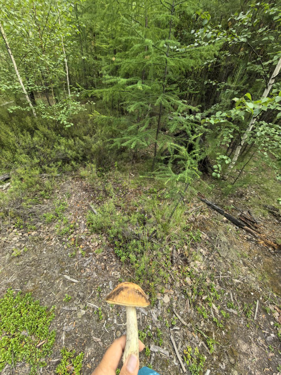 На Вилюйском тракте потерялась женщина