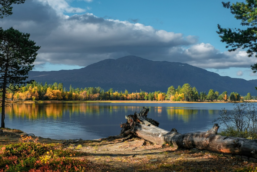Следующая остановка — счастье: Тамара Глоба раскрыла трех фаворитов Вселенной на конец августа 2025