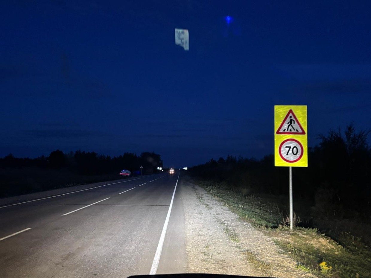 В Хангаласском районе УАЗ столкнулся с лошадьми: пострадал водитель, погибли животные