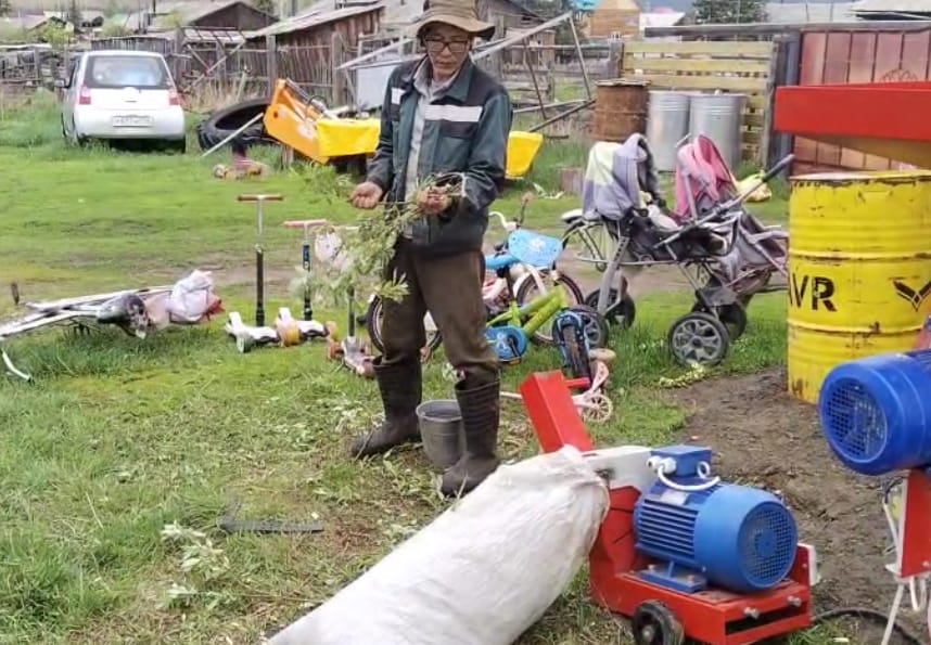Фермер из Хангаласского улуса кормит своих коров тальниковой мукой