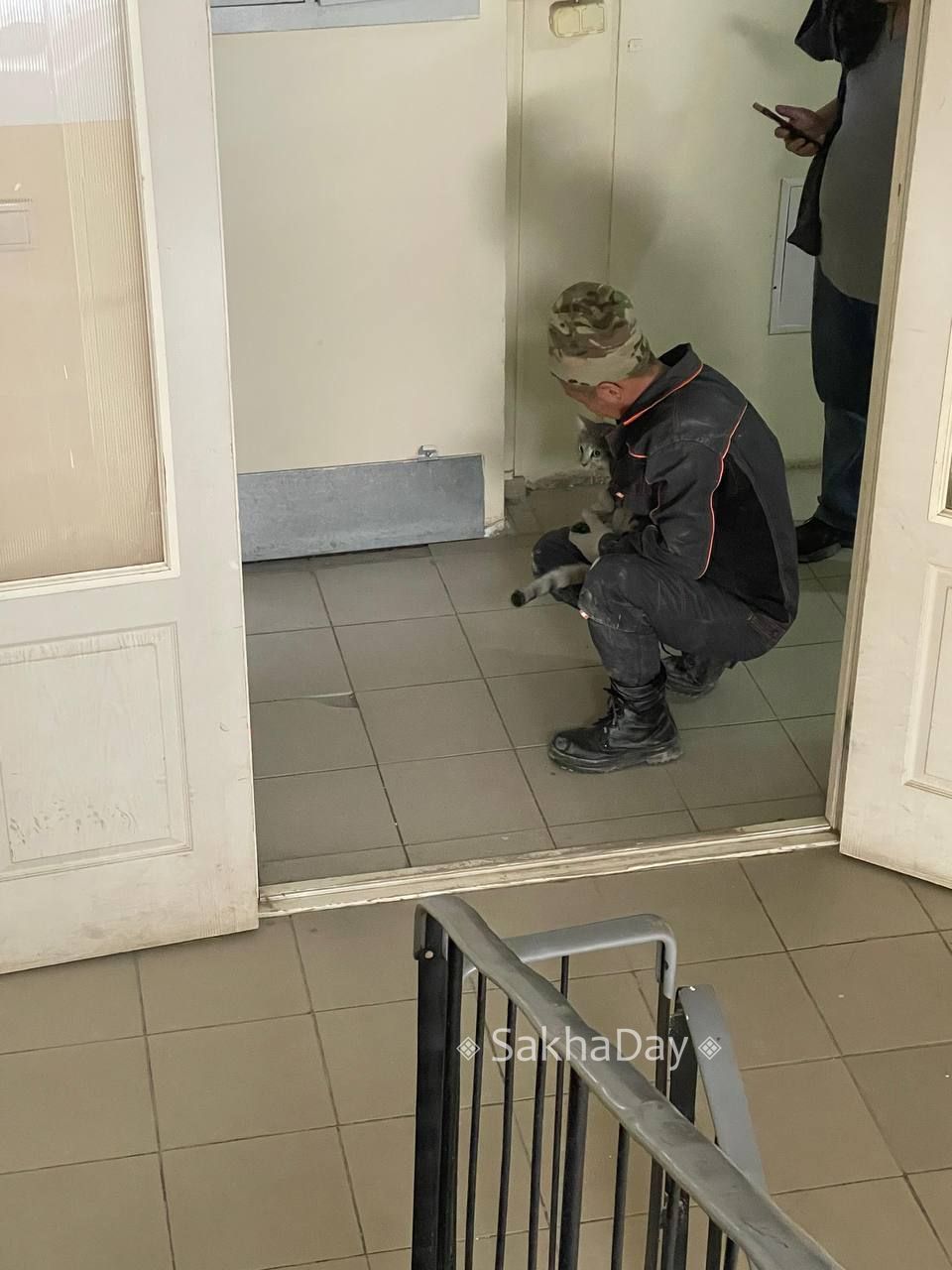 В Якутске кот просидел неделю в вентиляционной шахте многоквартирного дома