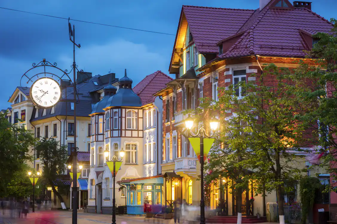 Мяу-столица России: Зеленоградск — город, где кошки правят бал, а люди счастливы в кошачьем раю