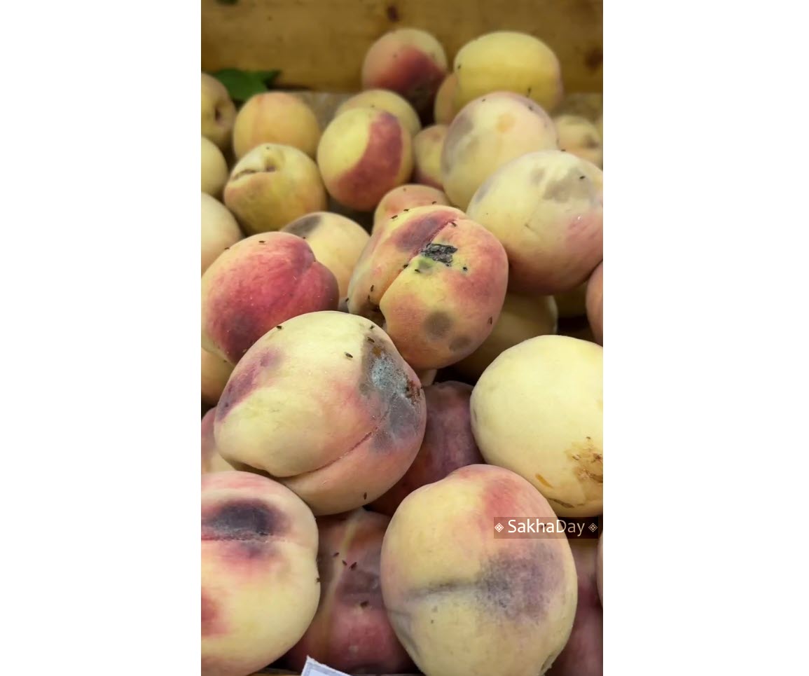 Персики с плесенью, гнилые перцы и испорченные дыни. Что продают жителям Нижнего Бестяха в популярном маркете?