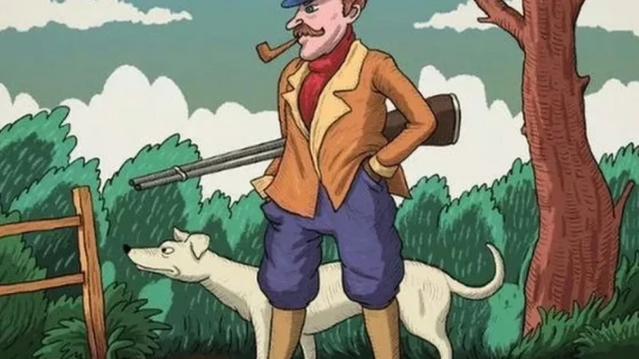 Каждый охотник желает знать: найдите зайца на картинке-иллюзии — шустрый и ушастый неплохо спрятался, вряд ли вы справитесь с первого раза