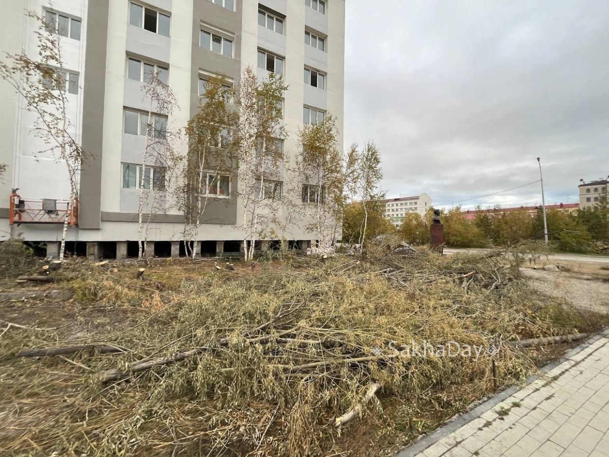 В Якутске после жалоб на вырубку деревьев у школы № 1 выявили нарушителя
