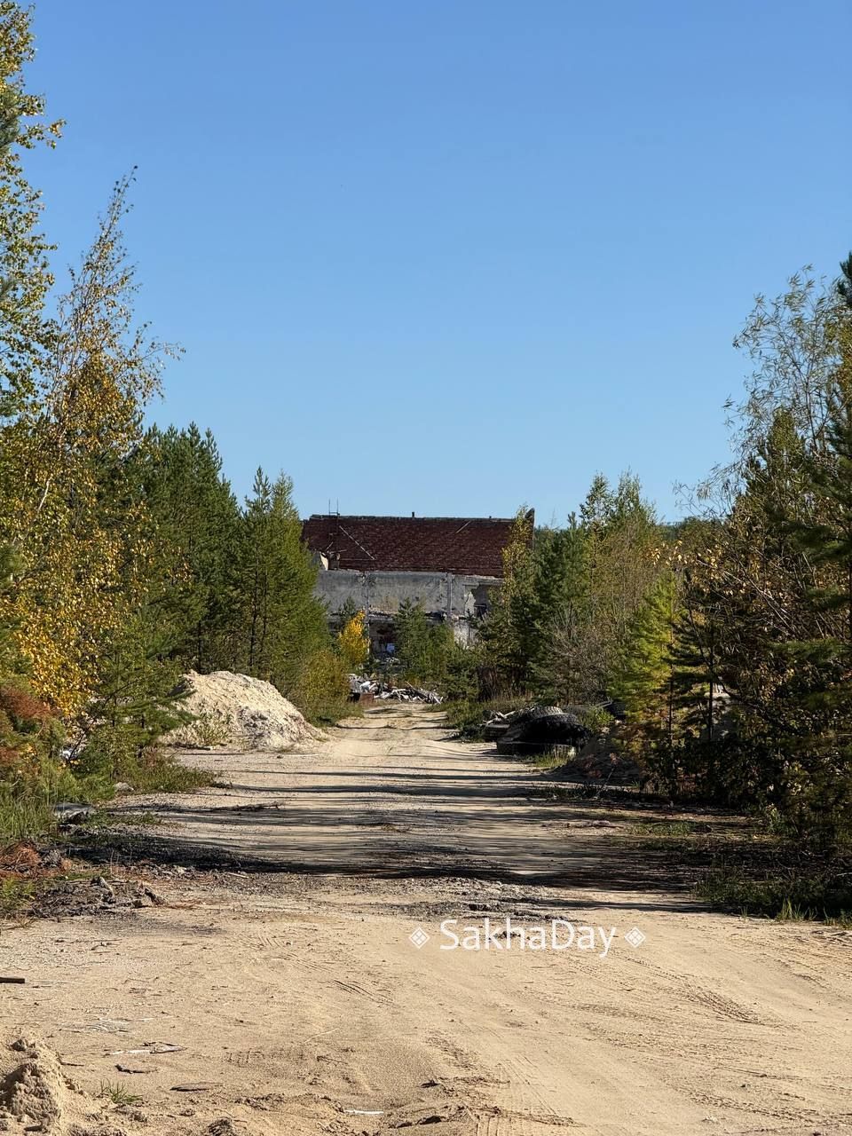 Медведя, замеченного близ Якутска, решили не отстреливать