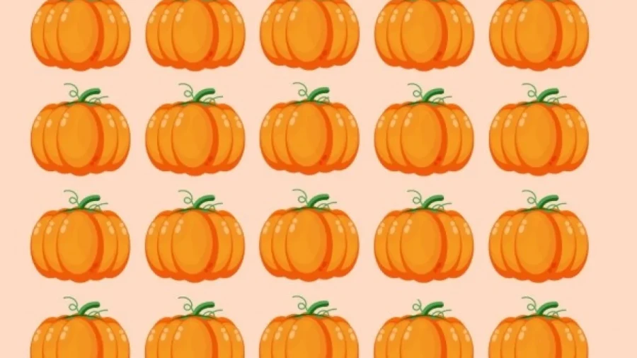 Со всех сторон: комплексная забота о зрении — тыква на тарелке, тыква в головоломке